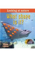 What Shape Is It?