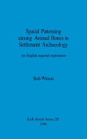 Spatial Patterning Among Animal Bones in Settlement Archaeology