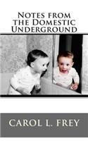 Notes from the Domestic Underground