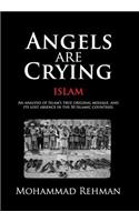 Angels Are Crying: Islam: An Analysis of Islam's True Original Message, and It's Lost Absence in the 50 Islamic Countries