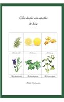 Six huiles essentielles de base
