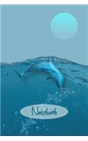Dolphins Playing in Clear Water Notebook