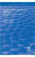 Culture at Work in Aviation and Medicine