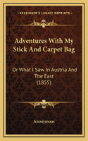 Adventures with My Stick and Carpet Bag