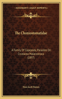 Choniostomatidae