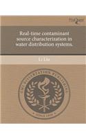 Real-Time Contaminant Source Characterization in Water Distribution Systems