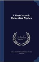 A First Course in Elementary Algebra