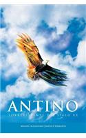 Antino
