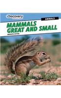 Mammals Great and Small: (Discovery Education: Animals)