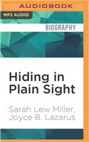 Hiding in Plain Sight