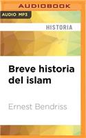 Breve Historia del Islam