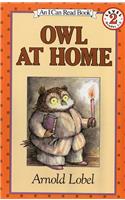 Owl at Home