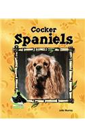 Cocker Spaniels