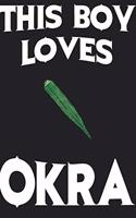 This Boy Loves OKRA Notebook