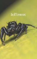 Sketchbook: Simple Minimalists Blank Paged Sketch Book - For Creative Artists Practicing Sketching Doodling Drawing Skills - Black Spider - Nature Series