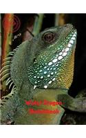 Water Dragon Sketchbook: Blank Paper for Drawing, Doodling or Sketching 120 Large Blank Pages (8.5"x11") for Sketching, inspiring, Drawing Anything Kids Love to do and to Im