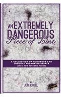Extremely Dangerous Piece of Lint