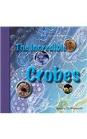 Incredible Crobes