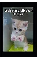 Look at My Jellybean Toesies