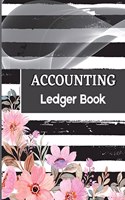 Accounting Ledger Book