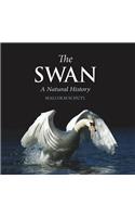 Swan