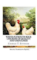 White Plymouth Rock Chickens of Quality and Usefulness