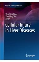 Cellular Injury in Liver Diseases