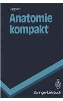 Anatomie Kompakt