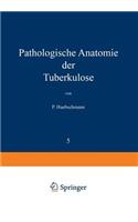 Pathologische Anatomie der Tuberkulose