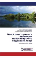 Ochagi Opistorkhoza V Akvatorii Novosibirskogo Vodokhranilishcha