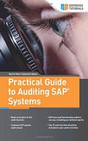 Practical Guide to Auditing SAP Systems