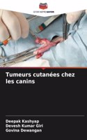 Tumeurs cutanées chez les canins