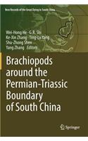 Brachiopods Around the Permian-Triassic Boundary of South China