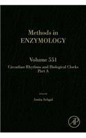 Circadian Rhythms and Biological Clocks Part a