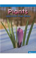 Science Leveled Readers: On-Level Reader Grade 5 Plants-How They Grow