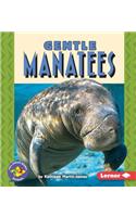Gentle Manatees