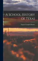 School History of Texas