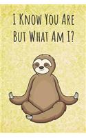 I Know You Are But What Am I?: Funny Unique Motivational Colorful Journal Notebook For Birthday, Anniversary, Christmas, Graduation and Holiday Gifts for Girls, Women, Men and Boy