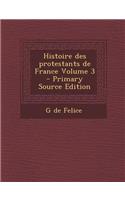 Histoire Des Protestants de France Volume 3