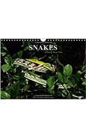 Snakes / UK-Version 2018