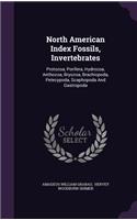 North American Index Fossils, Invertebrates: Protozoa, Porifera, Hydrozoa, Anthozoa, Bryozoa, Brachiopoda, Pelecypoda, Scaphopoda and Gastropoda