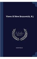 Views Of New Brunswick, N.j