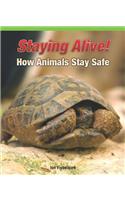 Staying Alive! How Animals Stay Safe