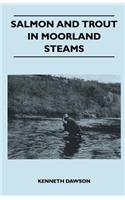 Salmon And Trout In Moorland Steams