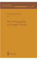 Wave Propagation in Complex Media