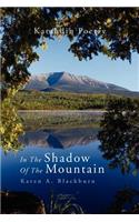 In the Shadow of the Mountain