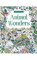 Animal Wonders