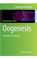 Oogenesis