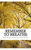 Remember to Breathe: Words, Poems and Promises(English)