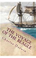 Voyage of the Beagle: Illustrated